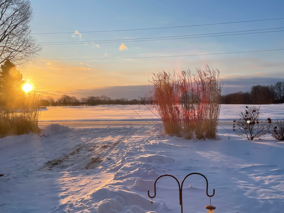 Low Budget Winter&nbsp;Fun