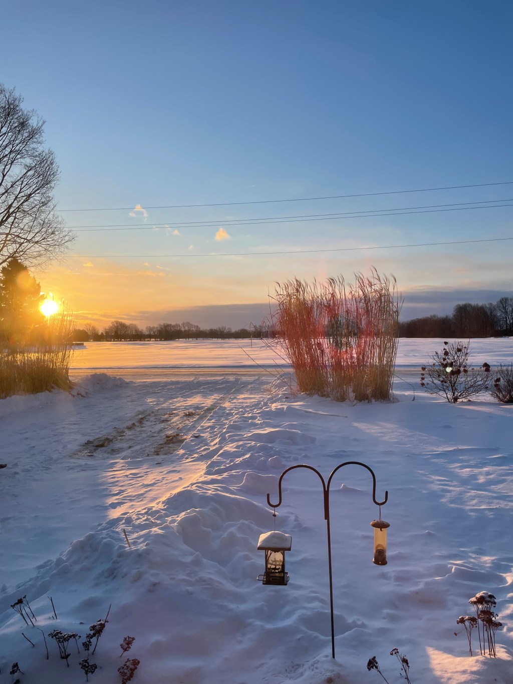 Low Budget Winter&nbsp;Fun